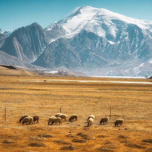 13429377535623499 ð️ 喀伊·全景·商务车·北疆10天9晚纯玩小团游