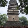 单乐山纯玩一日游·大散团