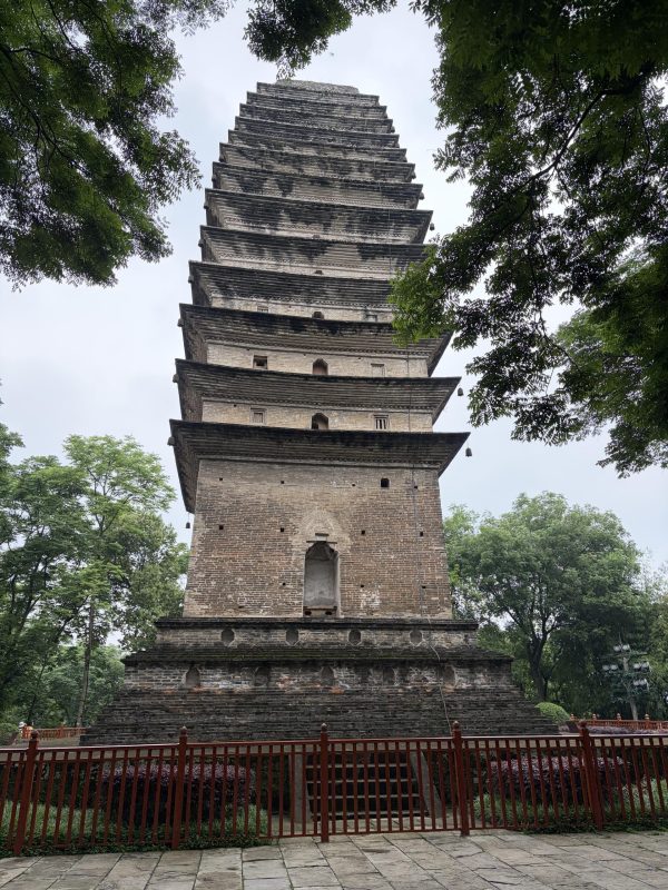 单乐山纯玩一日游·大散团