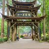 三星堆+都江堰+蓝眼泪一日游·8人小拼团