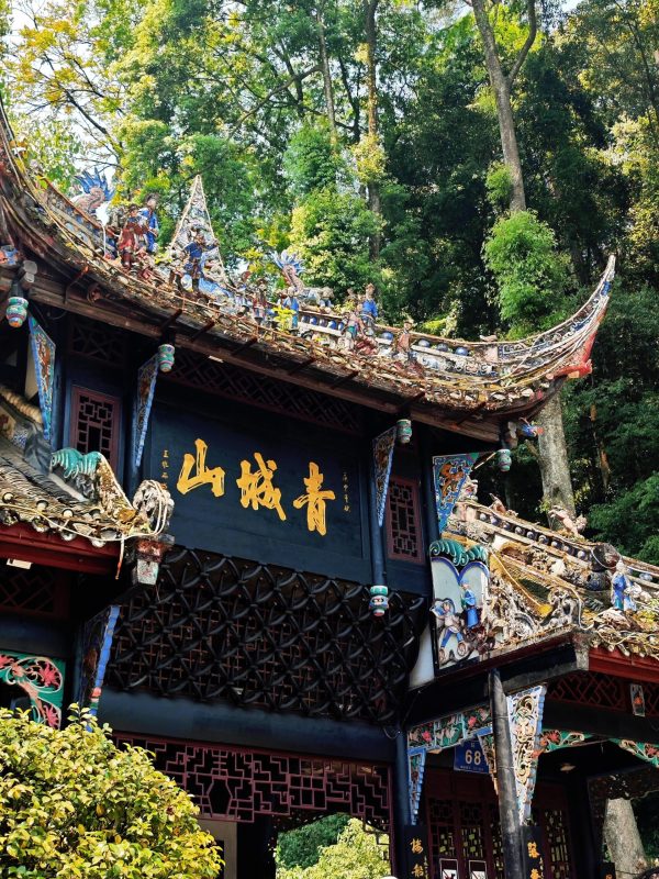 13429382859574276 都熊神树坪纯玩·都江堰+卧龙神树坪熊猫基地一日游·大散团