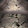 13429528399807656 都熊神树坪纯玩·都江堰+卧龙神树坪熊猫基地一日游·大散团