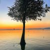 版纳怡夏·西双版纳4天3晚品质游（大巴团）