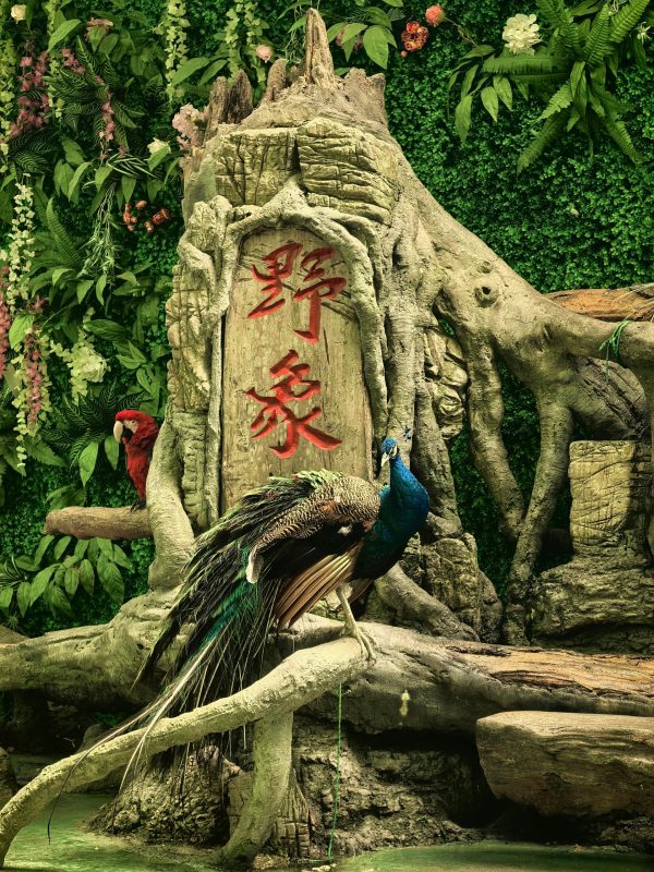 版纳怡夏·西双版纳4天3晚品质游（大巴团）