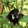 一路奔腾 · 昆明瑞丽芒市腾冲双动6日纯玩游