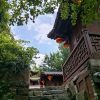 _cuva 仙天九龚乌·武隆仙女山天生三桥九黎城乌江画廊龚滩古镇2日纯玩游