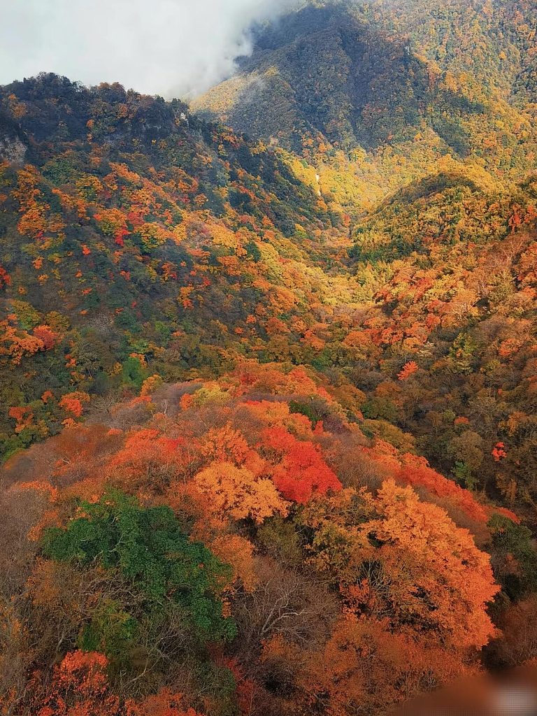 13435153936160676 768x1024 1 Lynx猞猁旅行