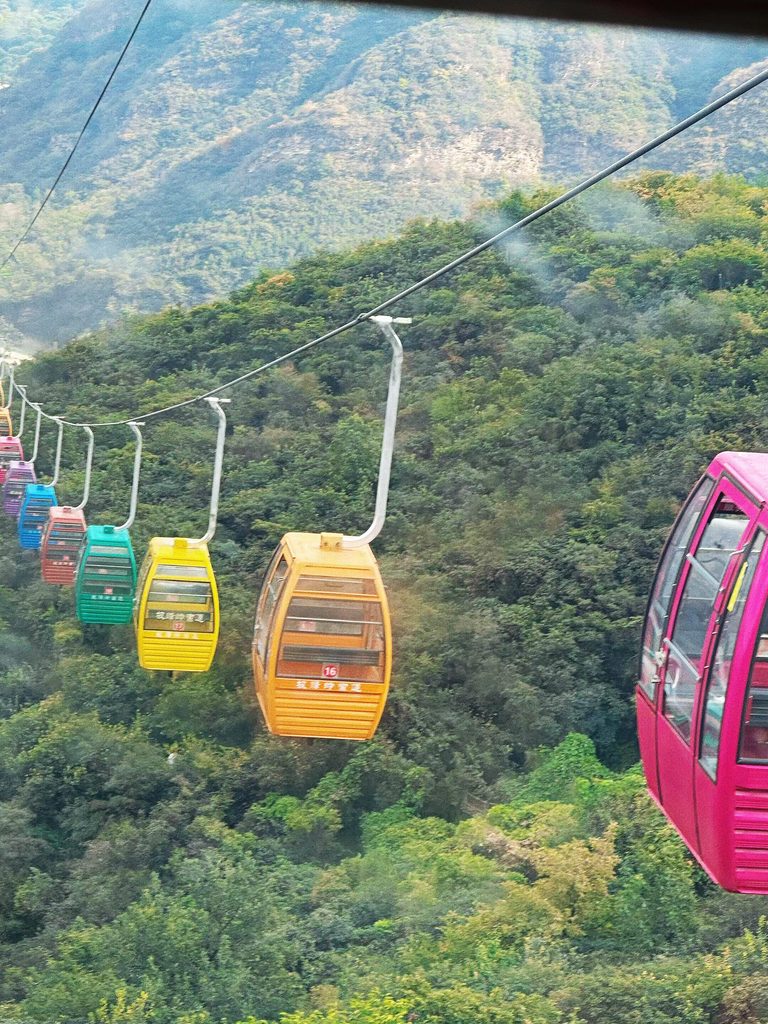 13435567391201897 Lynx猞猁旅行