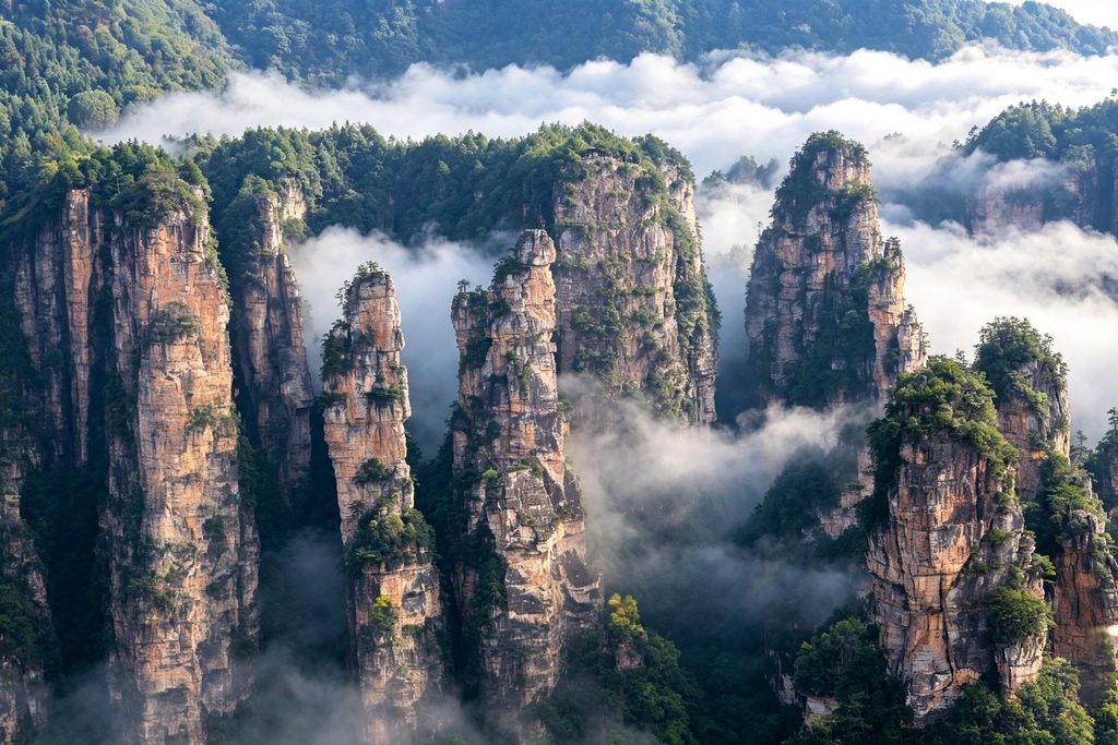 武陵源云海铺满峡谷,三千奇峰如岛屿浮出云端