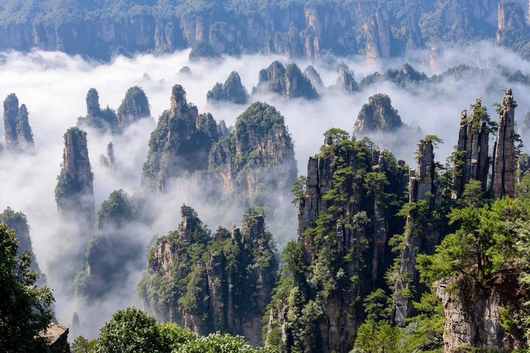天子山远眺，云雾中的三千奇峰层峦叠嶂